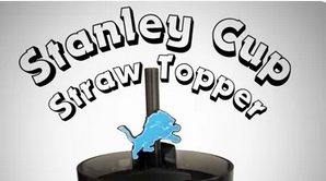 Detroit Lions Straw Topper